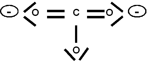 CO3_1.gif